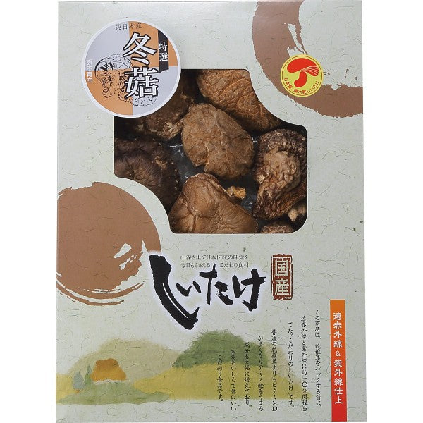 国産原木乾椎茸どんこ(75g) OD-20