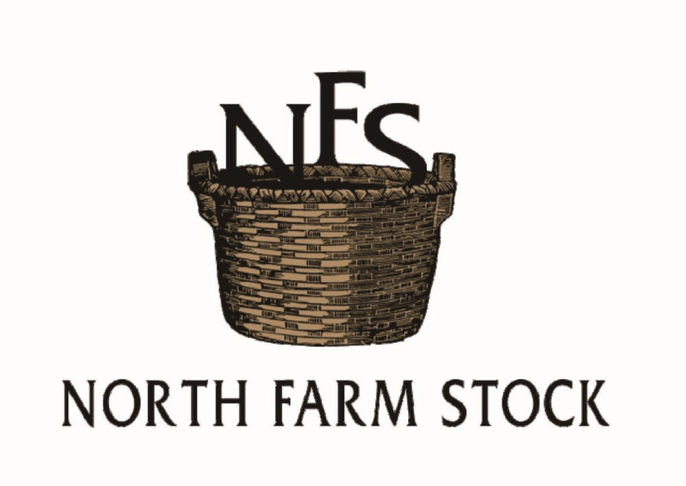 【北海道直送】 NORTH FARM STOCK 北海道ハニーレモネード&ジンジャーエールギフト FO-07 【全国送料込】(沖縄・離島除く)