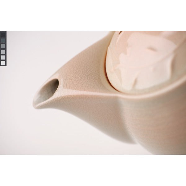 ギフト好適品 萩焼　姫土　茶の間セット（茶コシ付） 06330
