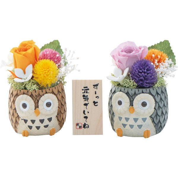 しあわせふくろう２色セット（プリザーブドフラワー） 1778978
