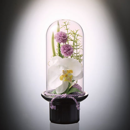 ギフト好適品 プリマ　ガラスドーム供花　胡蝶蘭（造花） PRSY-0144B