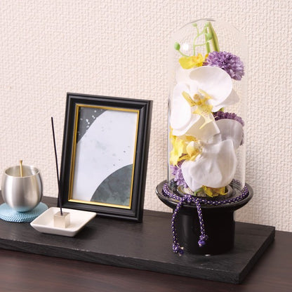 ギフト好適品 プリマ　ガラスドームの供花　胡蝶蘭（造花） PRSYｰ0132