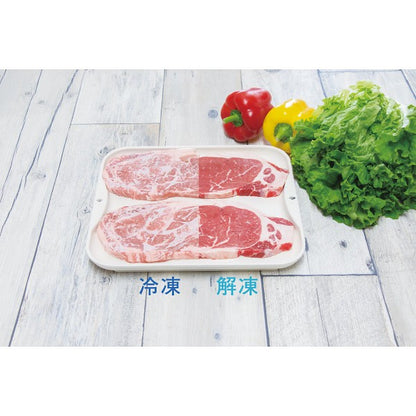 ギフト好適品 解凍皿ＮＥＷクイッ君 KS-3181