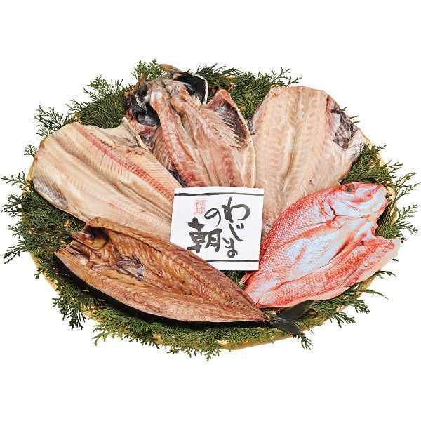 わじまの朝　大きな干物セット 1780814