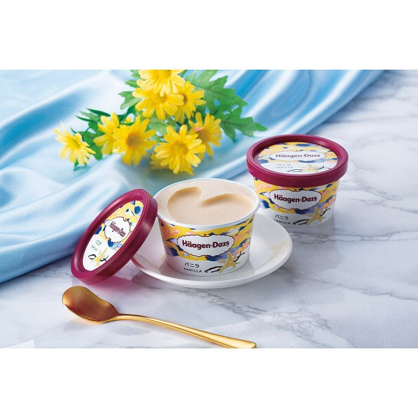 ギフト好適品 ハーゲンダッツ　スペシャルセット 1745699