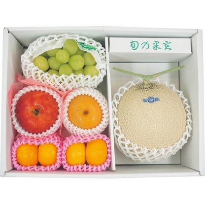 ギフト好適品 旬を味わうフルーツ詰め合わせ 1709627