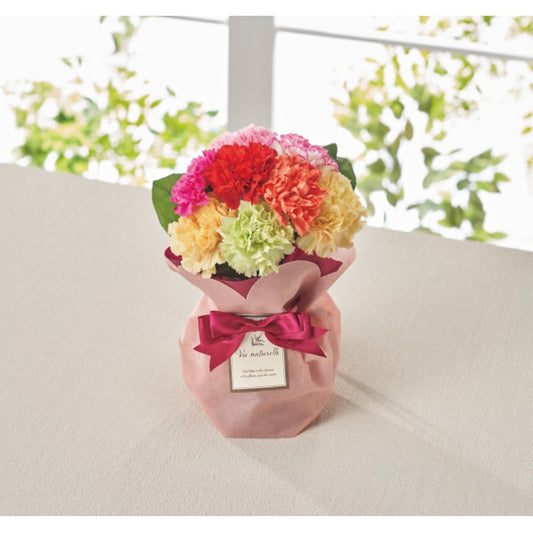 【母の日専用】そのまま飾れるブーケ　７色ミックスカーネーション商品のお届け期間：5.6(水)～5.10(日)。5月6日以降のご注文は「遅れてごめんね」対応となります。