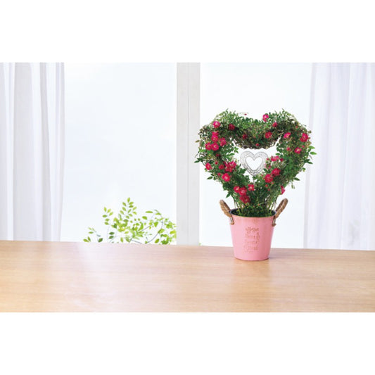 【母の日専用】つるバラ　プリティーハートリング商品のお届け期間：5.6(水)～5.10(日)。5月6日以降のご注文は「遅れてごめんね」対応となります。