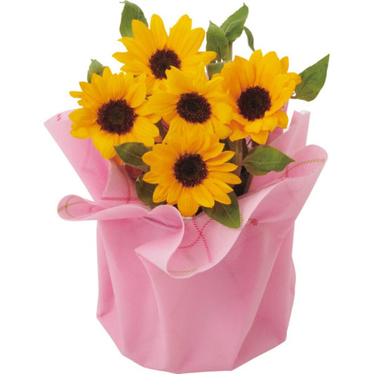 【母の日専用】ひまわり鉢植え「サンリッチオレンジ」商品のお届け期間：5.6(水)～5.10(日)。5月6日以降のご注文は「遅れてごめんね」対応となります。