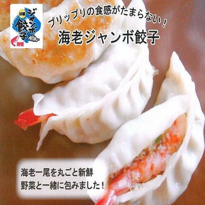 房総ジャンボ＆海老ジャンボ餃子詰合せ20個セット
