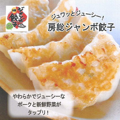 房総ジャンボ＆海老ジャンボ餃子詰合せ20個セット